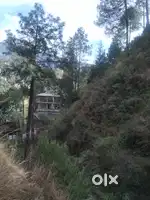 15 biswa land for sale near sankat mochan mandir.