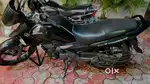 Pearl igneous black
