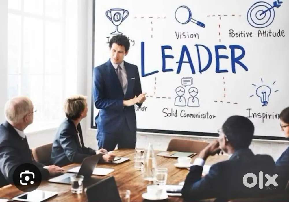 Collection And Verification Executive