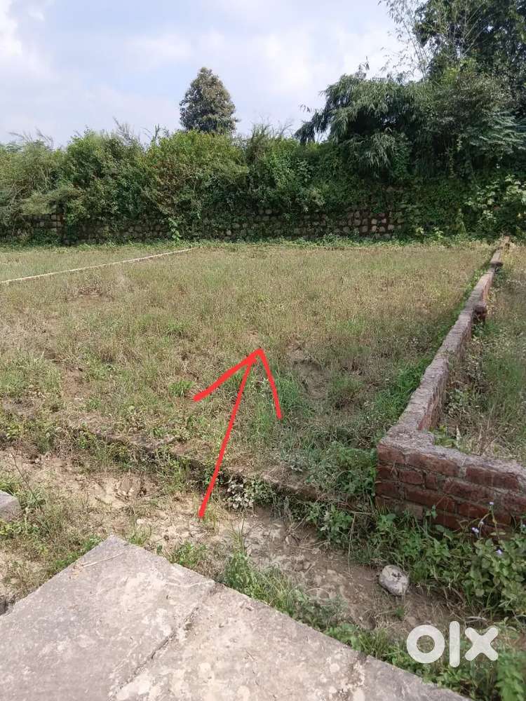 143 Land In Badowala, Dehradun