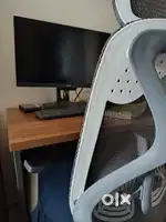 Content Moderator