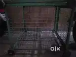 Dogs cages