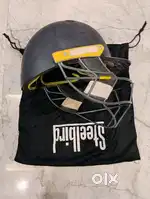 Cricket Helmet
