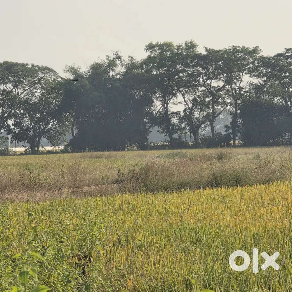 7840 sqft Land near cv Raman college