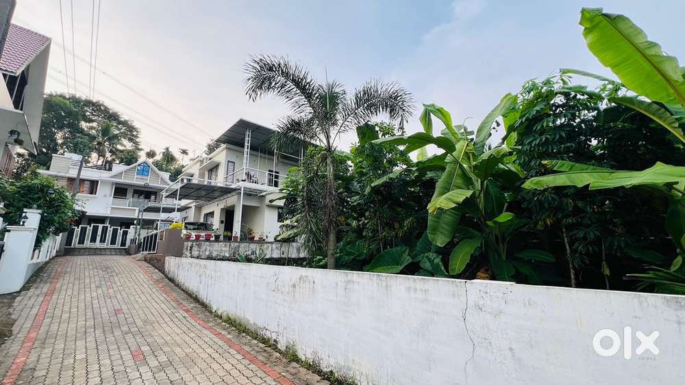 Plot For Sale Near Infopark Kakkanad