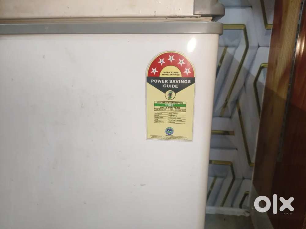 Restaurant itam &Western deep freezer 500 litr.&Steel chulha&  oven