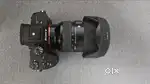 Sony Alpha 7 iii with Sigma 24-70mm f2.8