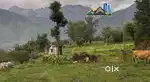 Prime Commercial Land for Sale in Gopalpur (H.P)