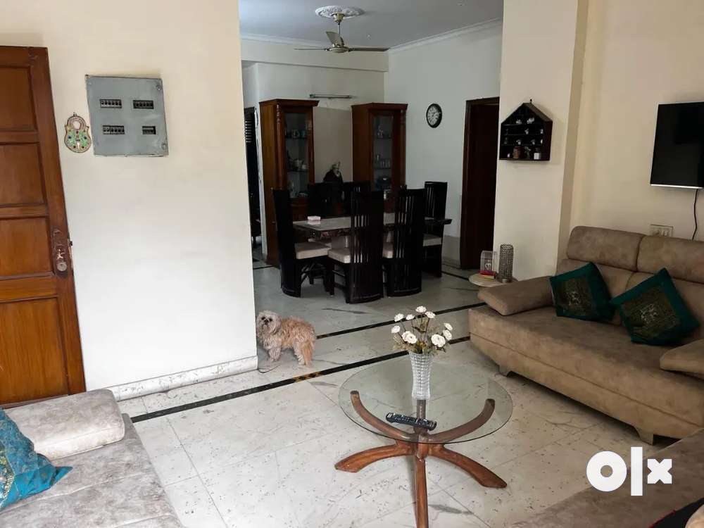 Luxury flat 3bhk fully furnished for rent