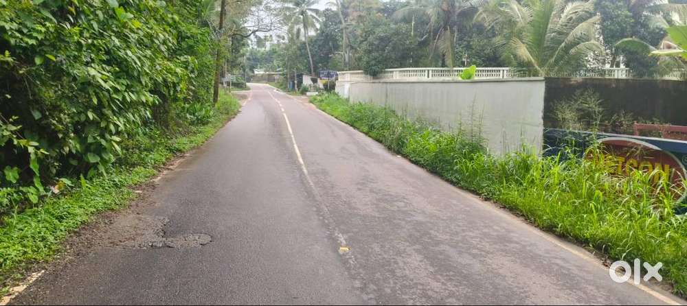 50 cent plot areasale at Kolenchery Junction