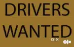 Wanted drivers for distribution company