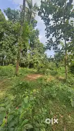 Land for sale near kuthuparamba