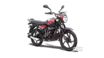 All model bajaj bikes are available