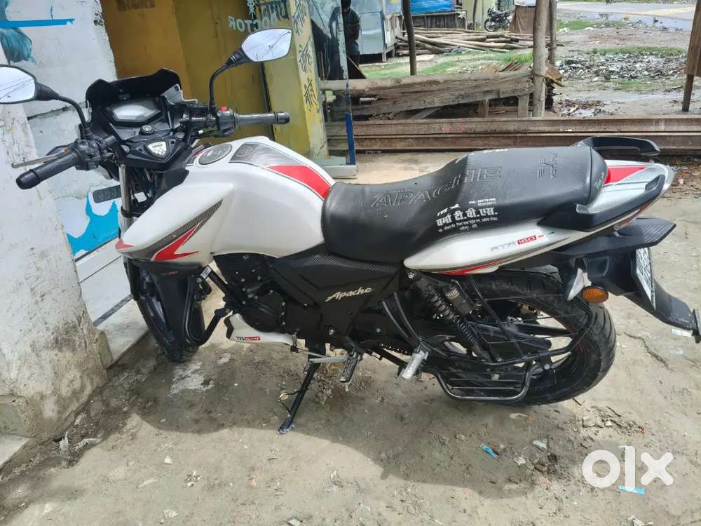 Last 24 model hai