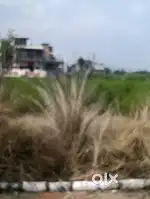 88.88  gaz ka plot for sale in derabassi rera approved colony