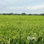 Land for sale in bypass anakapalle