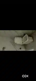 Fully independent house