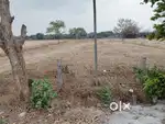 Agriculture land...not converted , thar road property