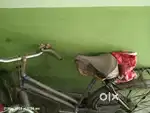 Bicycle for women