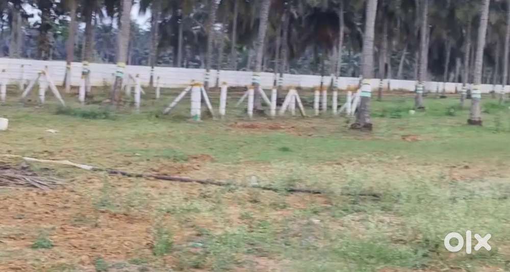 Vizag to srikakulam National Highway govindhapuram beach road Plots