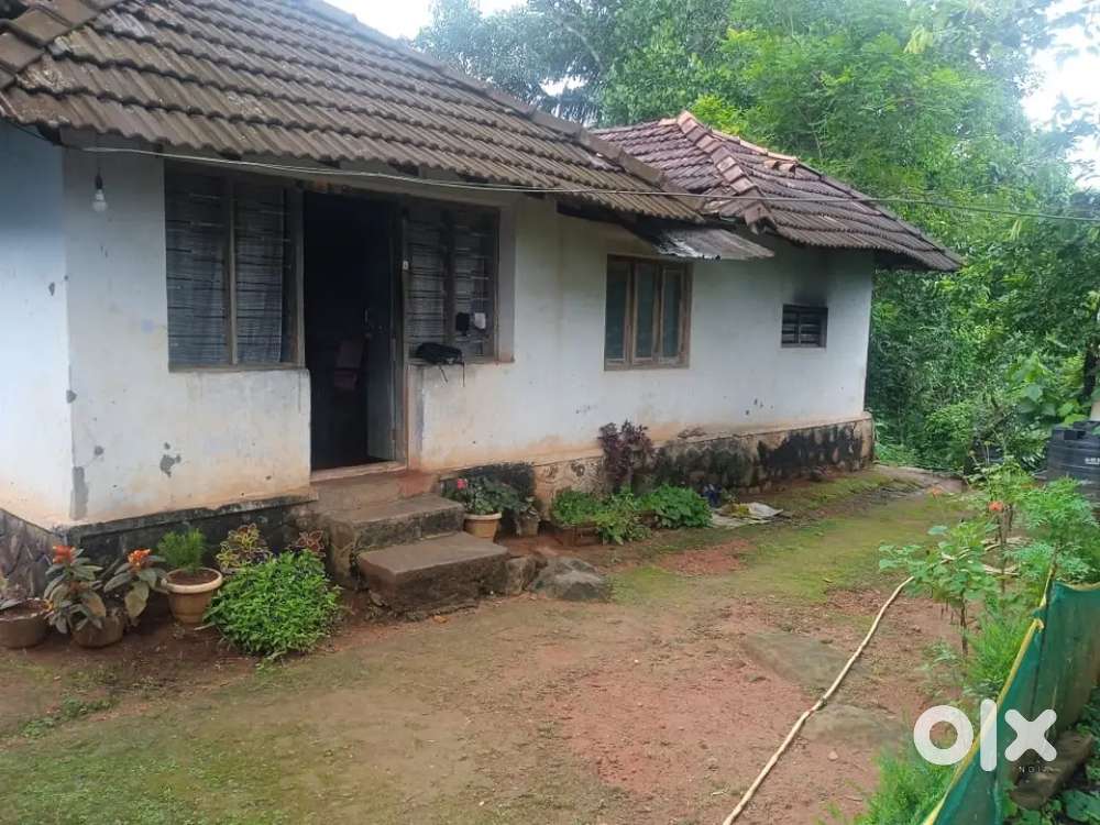 House and plot for sale