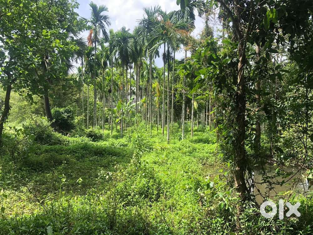 1.20 acre varga+1 acre kumki+house