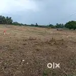 Plots ready for sale