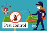Pest Control Services at Tata Motors