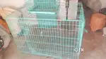 Scooby foldable dog cage sell