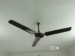 Crompton Ceiling Fan