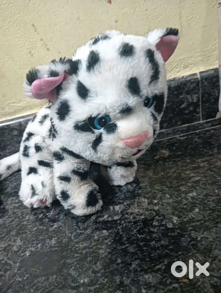 White tiger teddy