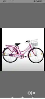 Lady bird women bicycle