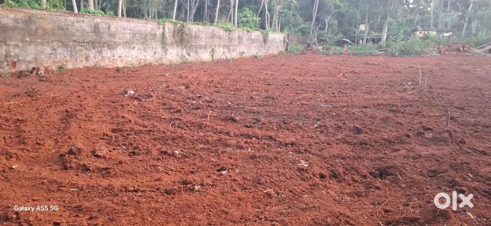 വസ്തു വില്പനയ്ക്ക് . കാഞ്ഞിരംകുളം കോളേജിനു സമീപം വസ്തു വില്പനയ്ക്ക് .