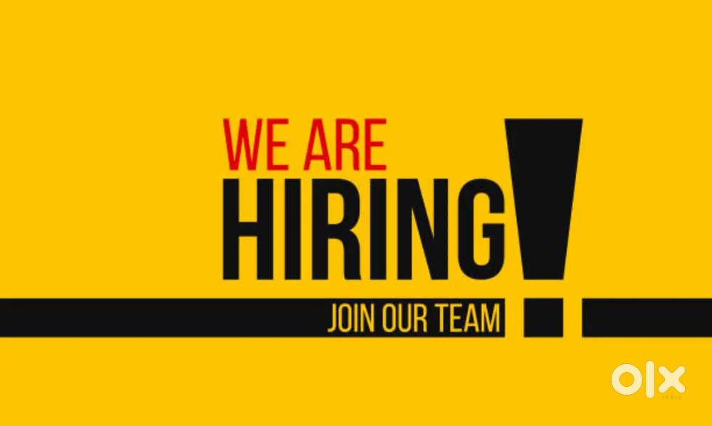 Required accountant for ca office