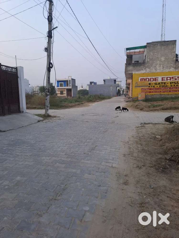 Plot for Sale near Gohana road