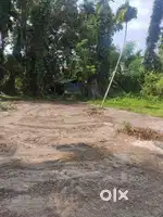 Plot for sale (11 cent)(price negotiable)(Per cent 1.70 Lakhs)