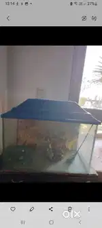 AQUARIUM  FOR SALE