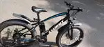 Electric cycle