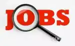 Nagaon Direct Sales Manager