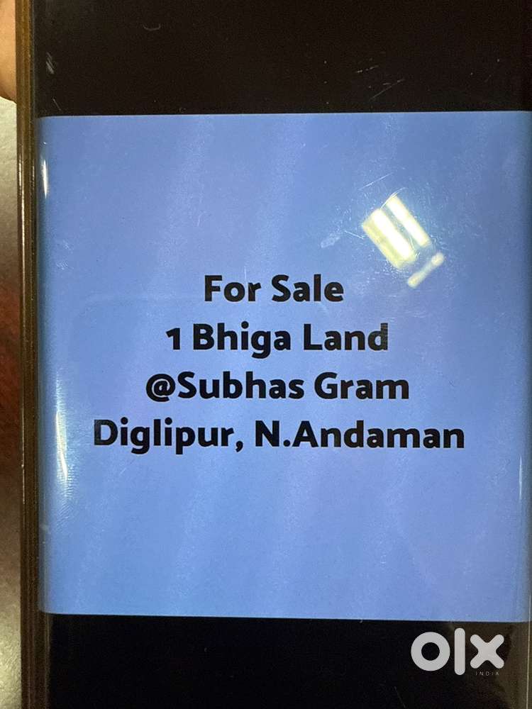 1 Bhiga Land @Subhas Gram, Diglipur for sale