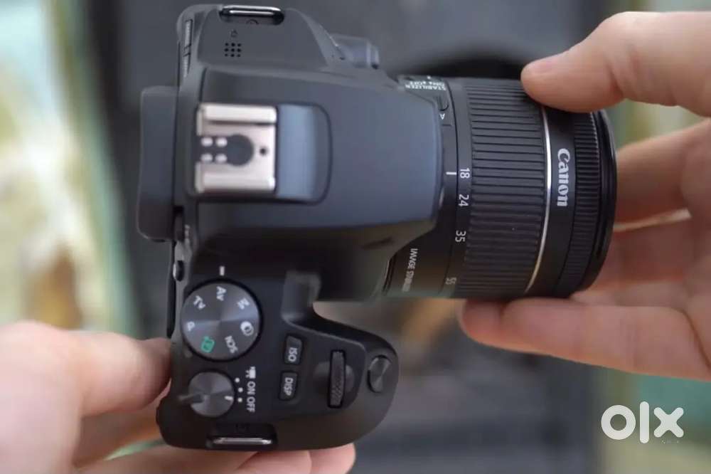 Canon 250d for sale