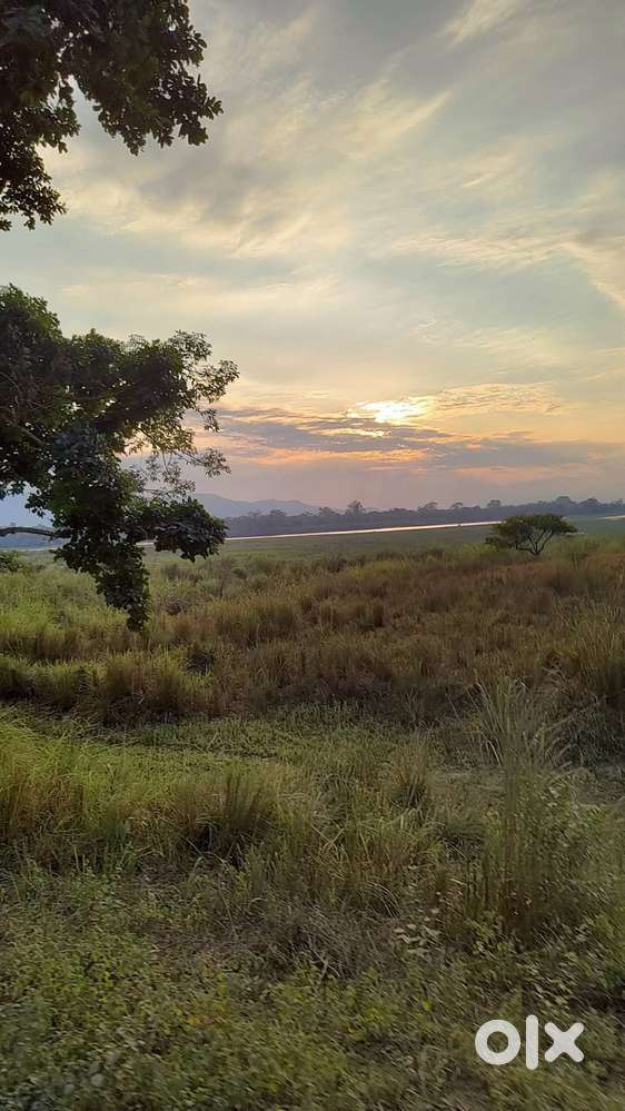 Prime East-Facing NH 37 Plot – Nellie