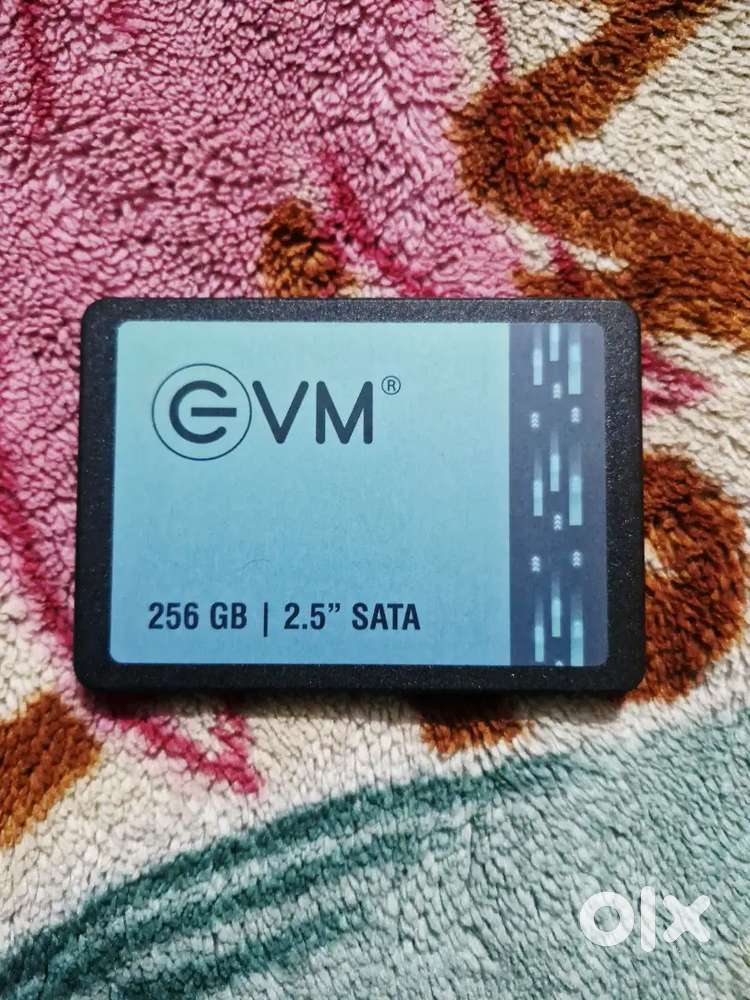 Evm 256 GB SSD