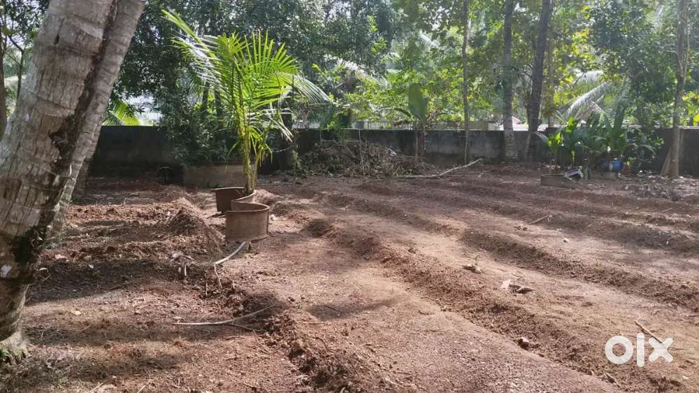 Plot for Sale at Chembu, Ernakulam