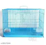 Fancy Cage for Birds and Parrots