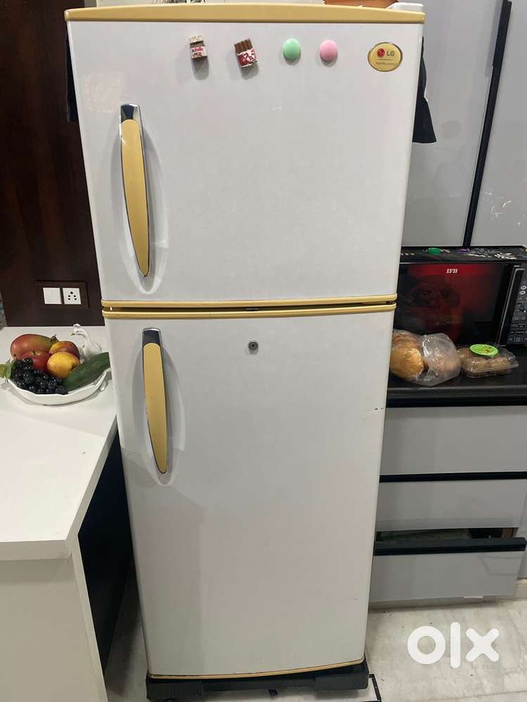 Lg dobbule door fridge