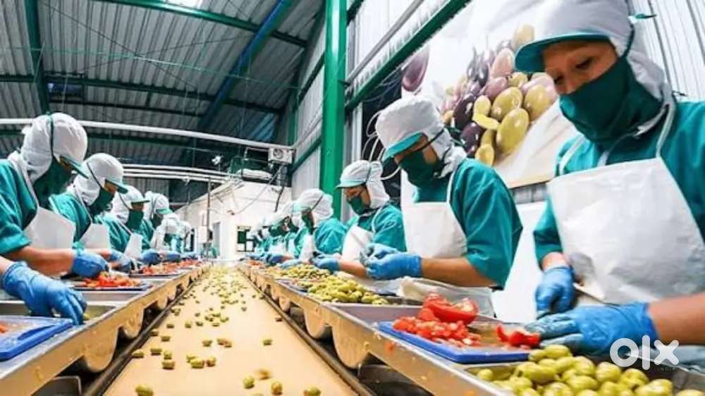 Wanted despatch/ packing  inside food warehouse