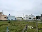 DTCP Residential/Investment Plot in Potheri