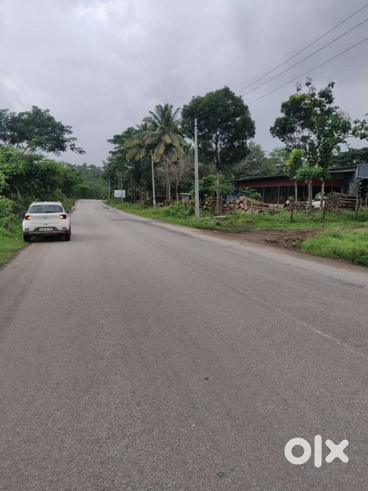 1 acre main goa alnavar highway road touch agriculture land for sale