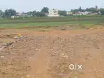 Affordable Plots for Sale Just 7 KM from Amaravati Capital – Damuluru